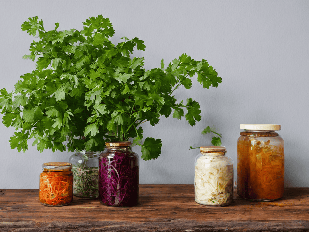 Embracing the Journey to Optimal Gut