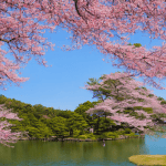 A Step-by-step Guide to Upcycling an Old Dresser With Chalk Paint