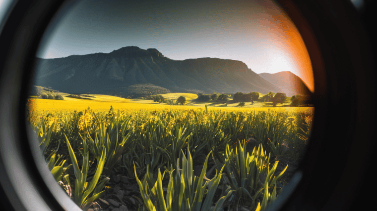 OLED Viewfinder Accuracy Matters