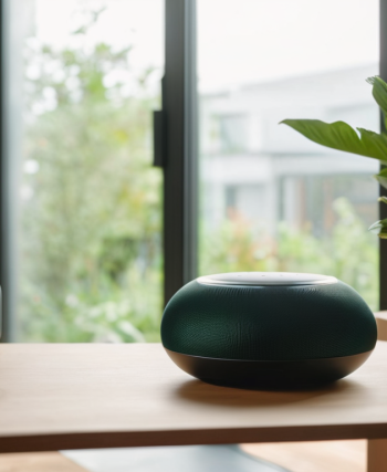 Private AI Voice Assistant Setup